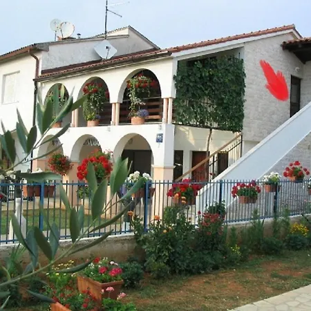 Dady With A Large Covered Terrace