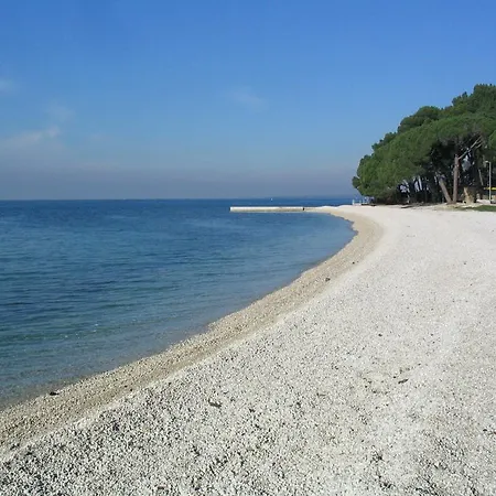 Dady With A Large Covered Terrace 3*
