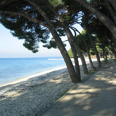 Dady With A Large Covered Terrace Vendégház