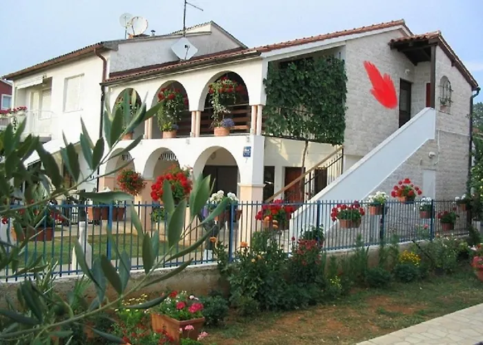 Dady With A Large Covered Terrace