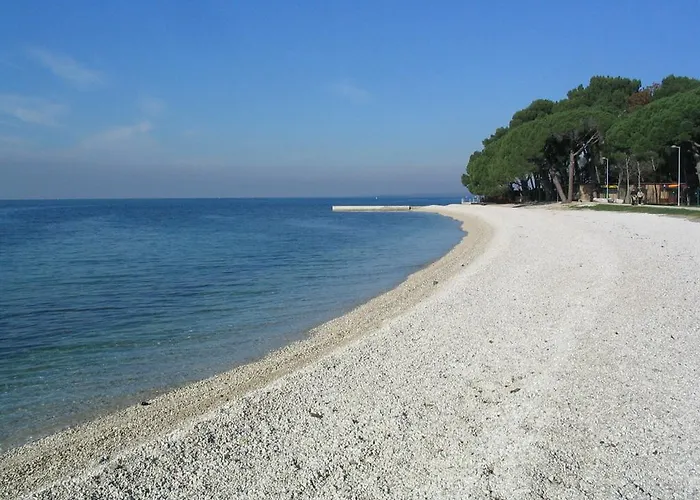 Dady With A Large Covered Terrace 3*