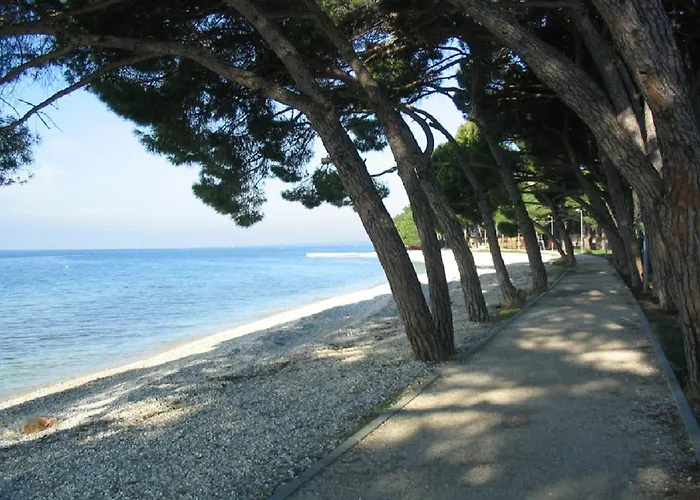 Dady With A Large Covered Terrace Gæstehus